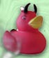 devil duck