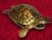 turtle lighter