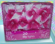 LILLY LIGHTS