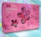 PINK ANENOME LIGHTS