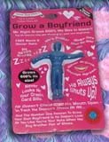 GROW A BOYFRIEND